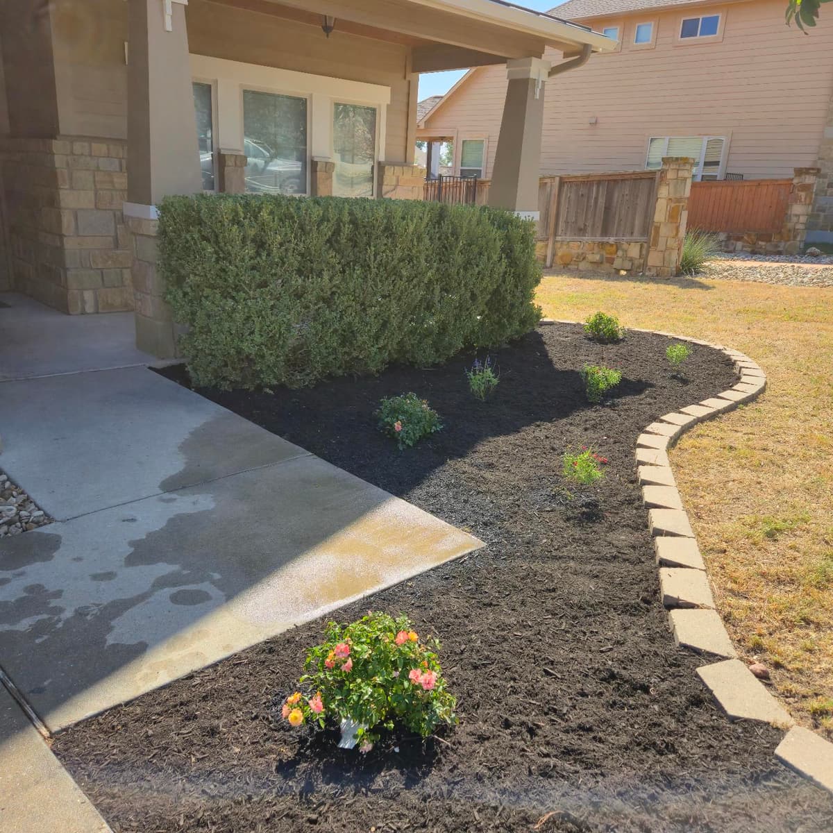 Fresh mulch and planting in a residential Georgetown flowerbed